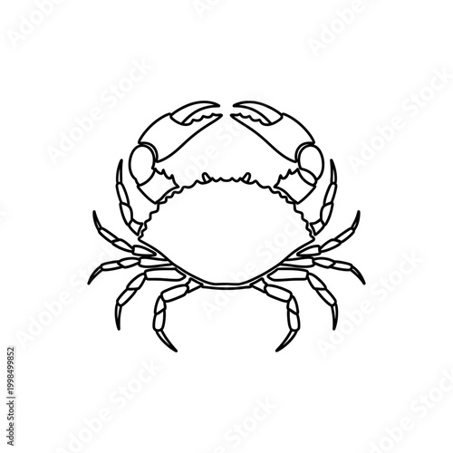 Crab outline illustration, sea creature, marine life drawing.