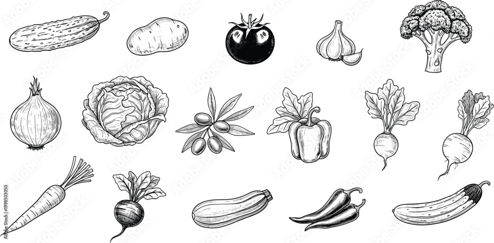 Fototapeta premium Vegetable engraving vector set. Tomato, broccoli, carrot, onion and chili sketch collection. Hand drawn vintage food illustration in monochrome style for menu, packaging and culinary design.