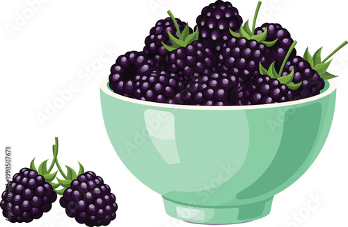 Bowl of Fresh Blackberries with Berries in Vector Illustration"