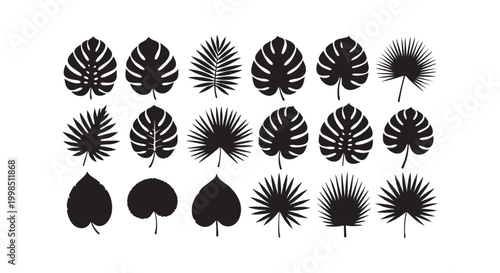Set of tropical monstera and palm leaves silhouettes for jungle botanical design isolated on white background element.