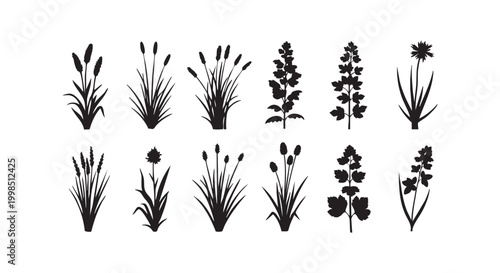 Set of wild meadow plants and grass silhouettes isolated on white background for design projects and natural patterns.
