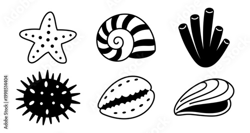 Marine shell and sea creature icon set with starfish nautilus coral sea urchin mussel clam coastal collection ocean symbols beach tropical nautical black illustration pack