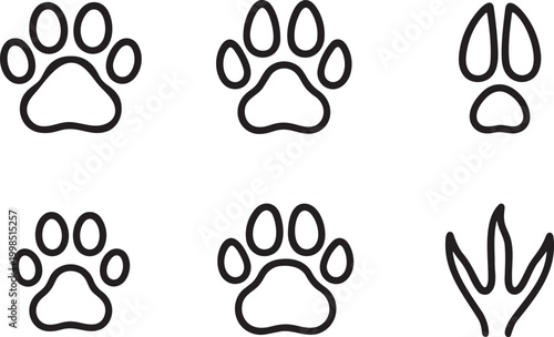 Collection of animal paw prints
