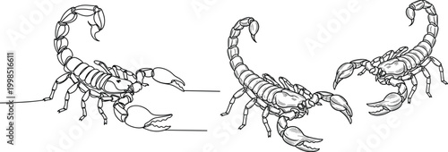 Detailed Scorpion Illustration in Line Art, Featuring Scorpion with Pincers and Tail in Various Poses