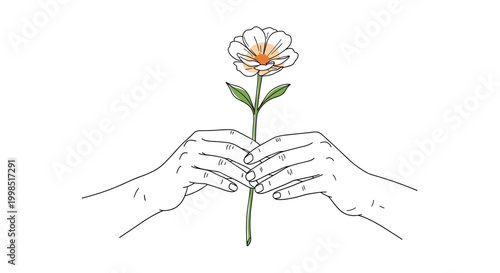 Close up of human hands holding a single blooming flower with a long stem in a simple line art illustration style.