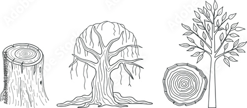 Tree stump and cut trunk line art set, wood log slices with rings and roots, forest deforestation concept illustrations, hand drawn nature elements for ecology, timber industry and landscape design