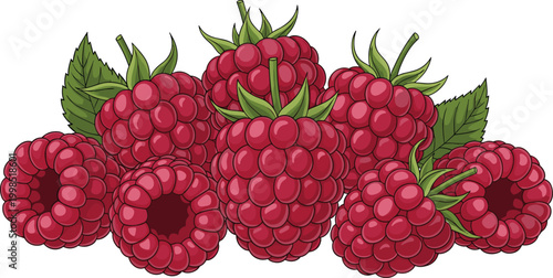 Cluster of Fresh Raspberries with Leaves in Vector Illustration"