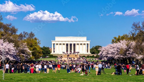 Crowds of people gathered on the national mall with the lincoln memorial and cherry blossoms in bloom washington dc pink flowers blue sky sunny day
