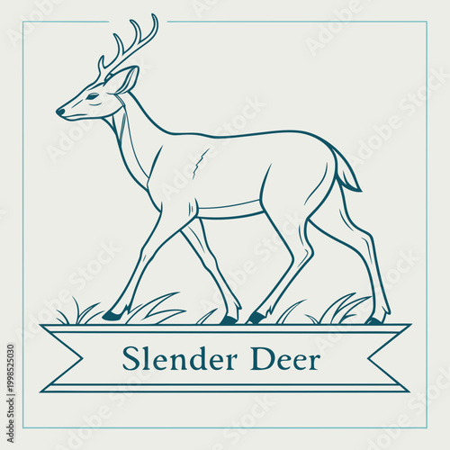 deer vector illustration