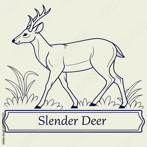 deer vector illustration