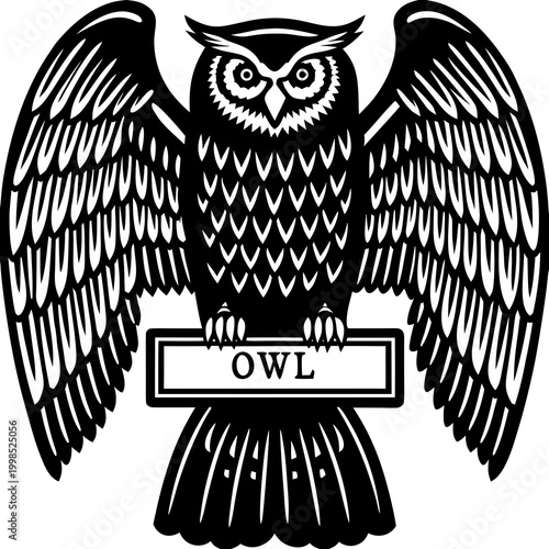 owl on white