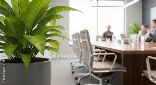 Green indoor plant in modern office boardroom interior during a meeting time.
