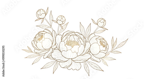 Elegant peony flower bouquet, hand drawn botanical illustration, floral arrangement with blooming peonies and buds