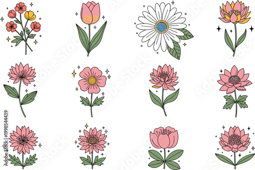 Floral illustration vector set with decorative flowers, blossoms and botanical elements