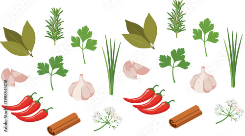 Herbs and spices vector illustration set with garlic, chili peppers, cinnamon and fresh greens