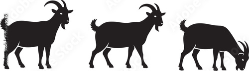 Black goat silhouette set, three farm animal vector icons, standing and grazing billy goat illustrations for rustic logo design and farming branding