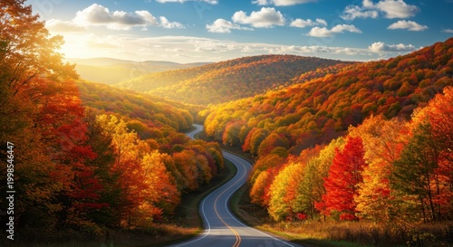 Winding mountain road disappears into sunlit valley covered with vibrant autumnal foliage