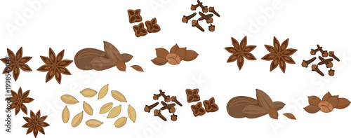Spices and herbs illustration set with star anise cloves cardamom and cinnamon aromatic cooking ingredients vector collection