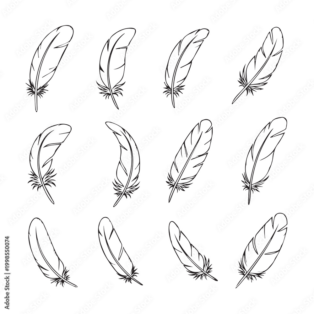 Fototapeta premium Collection of delicate quill pen strokes on a clean white background