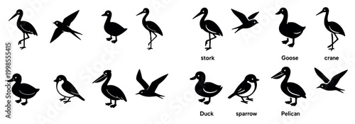 Bird icons with stork duck crane silhouette