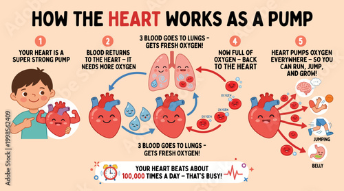 Educational illustration explaining how the human heart functions as a powerful pump for oxygen