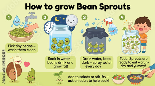 Illustrated step-by-step guide on how to easily cultivate delicious bean sprouts at home
