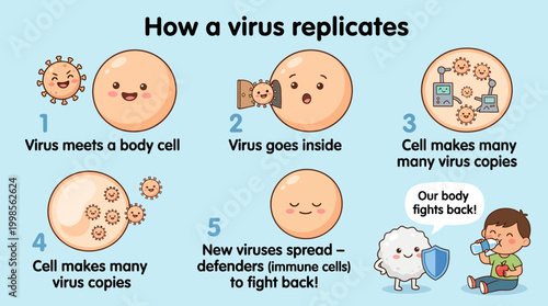 Visualizing the intricate process of viral replication and the body's immune response
