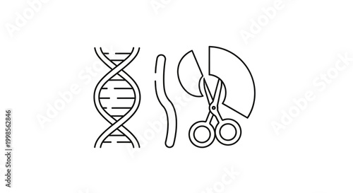 Genetic engineering concept with dna scissors and kidney icon
