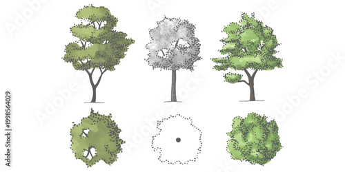 Set of hand drawn architectural trees in side and top view for landscape design projects
