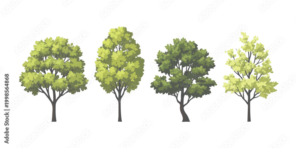 Fototapeta premium Set of four different green trees with detailed leaves and branches