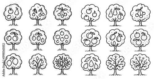 Orchard icons with apple pear tree hand drawn style
