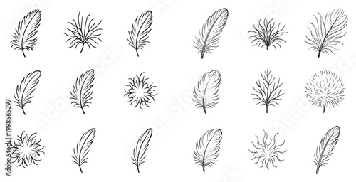 Feather icons with plume quill tuft sketch style