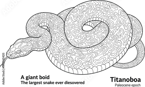 Titanoboa prehistoric snake species from paleocene epoch line art illustration.