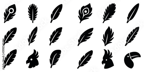 Bird feather icons with peacock feather parrot head toucan flat style