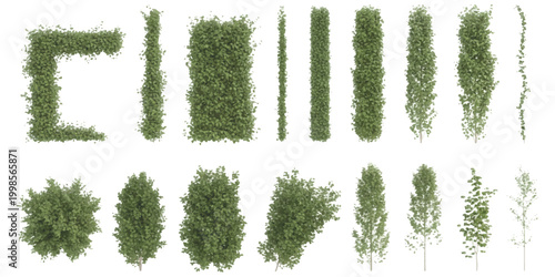 Set of green garden hedge plants and topiary bushes for landscape design