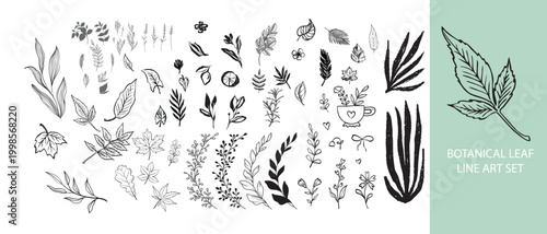 Hand Drawn Botanical Leaf Line Art Set Minimal Floral Nature Elements Collection