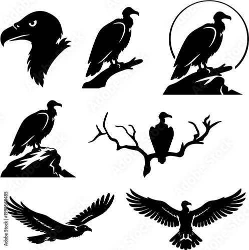 Vulture Silhouette Set Flying Perched Bird of Prey Vector Collection