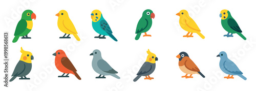 Bird icons with parrot canary cockatiel flat