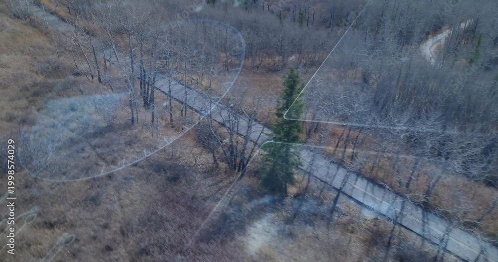 Fototapeta premium Showing boardwalk running diagonally through marsh from above, with evergreen and lens smudges