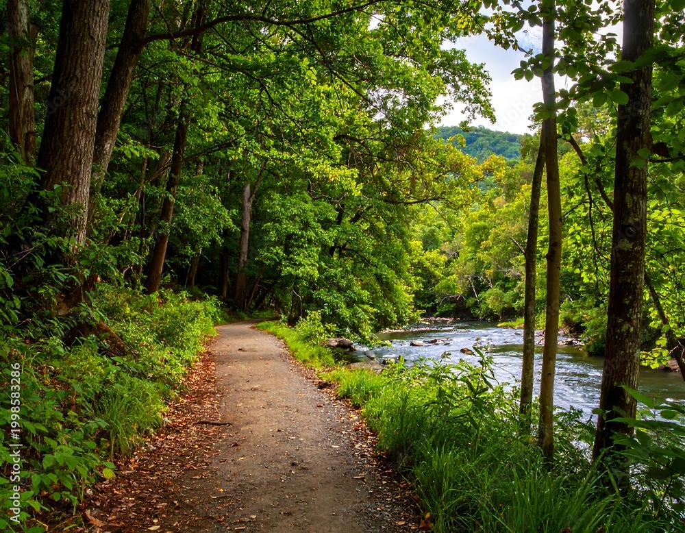 Obraz premium A winding dirt path parallels a flowing river within a vibrant, sun-dappled forest, lush with green foliage