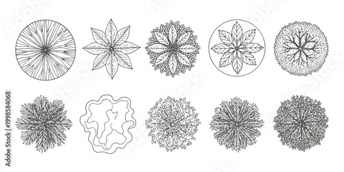 Set of ten hand drawn tree top view icons for architectural site plans and landscape design