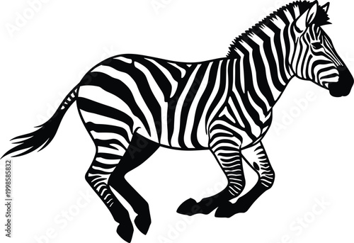 Dynamic black and white zebra illustration showcasing distinctive stripe pattern and galloping motion, emphasizing wildlife anatomy and graceful animal movement