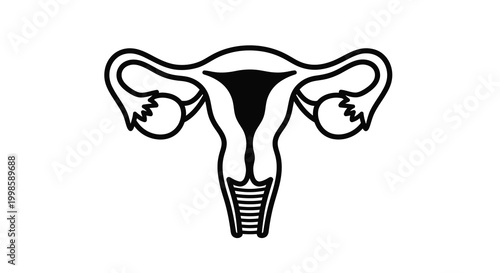 female reproductive system silhouette high quality professional detailed modern elegant stylish clean crisp vibrant colorful digital creative innovative contemporary premium stunning