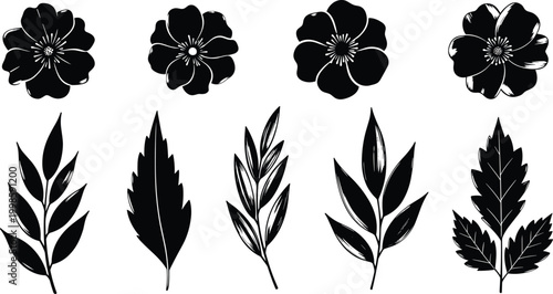 Silhouette Flower and Leaf Vector Set for Botanical, Nature, and Floral Illustrations in Graphic Designs