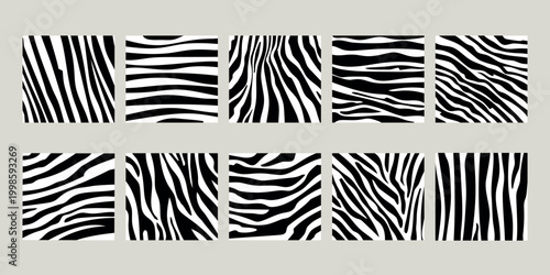 A set of abstract linear textures in black and white. The composition of smooth, irregularly shaped bands like natural patterns, as zebra skin, ripples on water, or organic movement. 