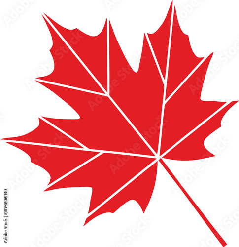 Canada day celebration vibrant red maple leaf symbol of canadian pride