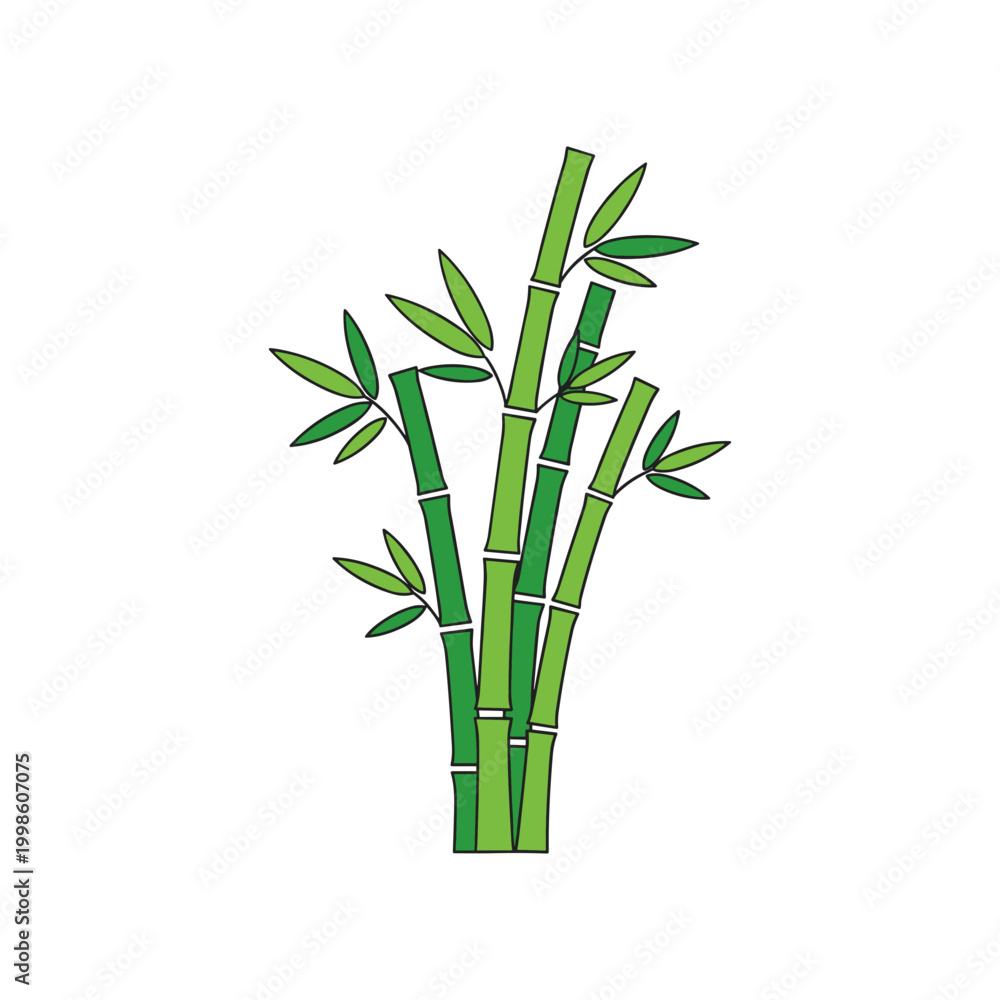 Obraz premium A clump of vibrant green bamboo stalks with delicate leaves reaching upwards.