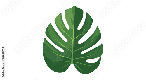 A vibrant and distinct illustration of a large, iconic green monstera deliciosa leaf with its characteristic split shape, symbolizing tropical nature.