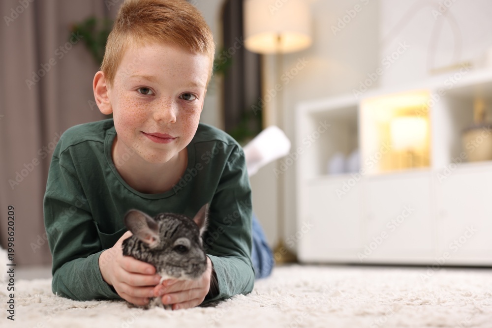 Obraz premium Child with his cute chinchilla on floor at home, space for text. Adorable pet