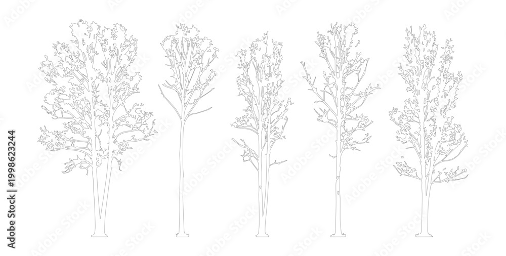 Fototapeta premium Minimalist tree line art vector set, hand drawn architectural tree sketches, 5 deciduous tree outlines for landscape design and site plans